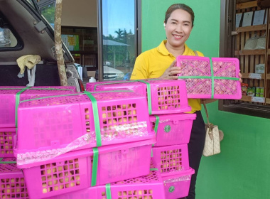 กระจายลำไยของสหกรณ์การเกษตรประตูป่า จำกัด จังหวัดลำพูน ... พารามิเตอร์รูปภาพ 9