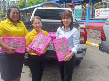 กระจายลำไยของสหกรณ์การเกษตรประตูป่า จำกัด จังหวัดลำพูน ... พารามิเตอร์รูปภาพ 10