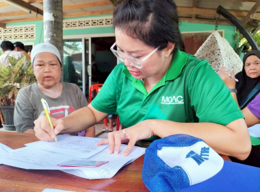 ลงพื้นที่ ป่าชายเลน หมู่ที่ 2 บ้านเกาะมุกด์ ตำบลเกาะลิบง ... พารามิเตอร์รูปภาพ 13