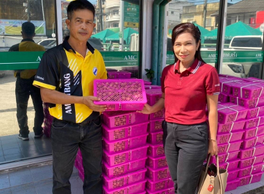 ช่วยเหลือสมาชิกสหกรณ์ และเกษตรกรผู้ปลูกลำไยภาคเหนือ ... พารามิเตอร์รูปภาพ 7