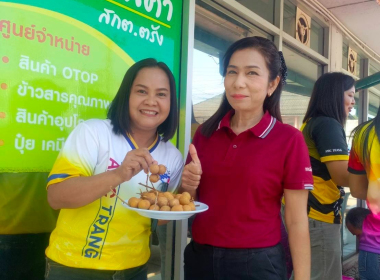 ช่วยเหลือสมาชิกสหกรณ์ และเกษตรกรผู้ปลูกลำไยภาคเหนือ ... พารามิเตอร์รูปภาพ 8