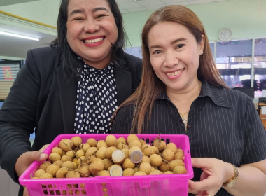 การช่วยเหลือสมาชิกสหกรณ์และเกษตรกร ผู้ปลูกลำไยภาคเหนือ ... พารามิเตอร์รูปภาพ 1