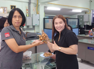 การช่วยเหลือสมาชิกสหกรณ์และเกษตรกร ผู้ปลูกลำไยภาคเหนือ ... พารามิเตอร์รูปภาพ 4