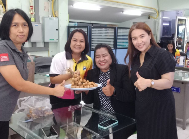 การช่วยเหลือสมาชิกสหกรณ์และเกษตรกร ผู้ปลูกลำไยภาคเหนือ ... พารามิเตอร์รูปภาพ 5