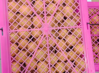 การช่วยเหลือสมาชิกสหกรณ์และเกษตรกร ผู้ปลูกลำไยภาคเหนือ ... พารามิเตอร์รูปภาพ 6