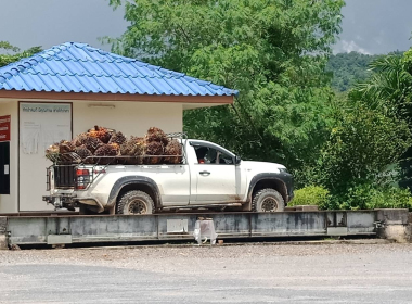 ติดตามโครงการยกระดับสถาบันเกษตรกรให้เป็นผู้ประกอบการธุรกิจเกษตร ปีงบประมาณ พ.ศ. 2568 ของสหกรณ์กองทุนสวนยางหนองบัว จำกัด ... พารามิเตอร์รูปภาพ 10