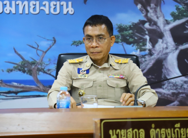 ประชุมกรรมการอำนวยการ ... พารามิเตอร์รูปภาพ 3