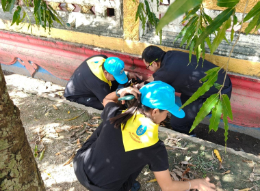 กิจกรรมจิตอาสาบำเพ็ญสาธารณประโยชน์ และบำเพ็ญสาธารณกุศล ... พารามิเตอร์รูปภาพ 14