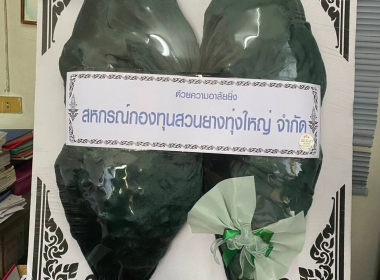 ตรวจเยี่ยมแนะนำ ส่งเสริมสหกรณ์กองทุนสวนยางทุ่งใหญ่ จำกัด พารามิเตอร์รูปภาพ 5