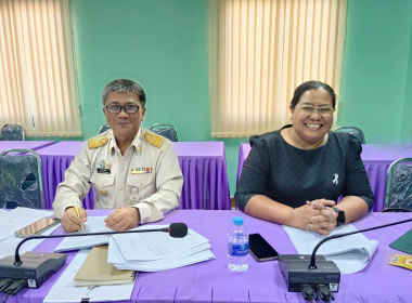 ประชุมคณะทำงานพิจารณาข้อสังเกตและข้อบกพร่อง ... พารามิเตอร์รูปภาพ 12