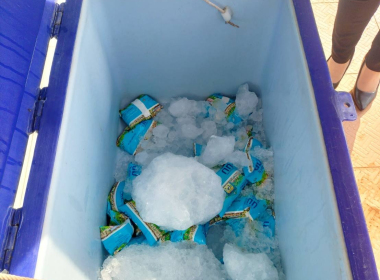 ติดตามให้มีการปฏิบัติตามประกาศคณะกรรมการอาหารนมเพื่อเด็กและเยาวชน และ ตรวจสอบผลิตภัณฑ์นมแปรรูป ตามโครงการอาหารเสริม(นม) โรงเรียน ... พารามิเตอร์รูปภาพ 12