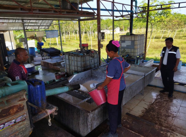 แนะนำ ส่งเสริม กำกับดูแลสหกรณ์การเกษตรทุ่งยาว จำกัด พารามิเตอร์รูปภาพ 3