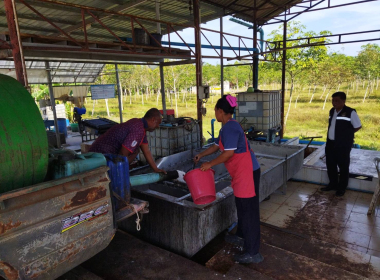 แนะนำ ส่งเสริม กำกับดูแลสหกรณ์การเกษตรทุ่งยาว จำกัด พารามิเตอร์รูปภาพ 5