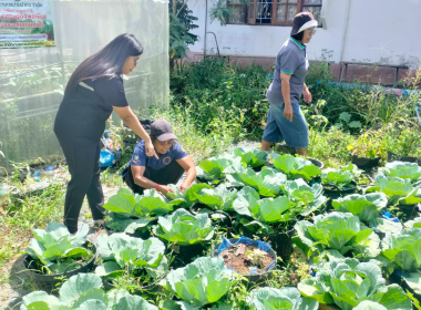 ประชุมคณะกรรมการดำเนินการ สหกรณ์การเกษตรบ้านป่ากอ จำกัด พารามิเตอร์รูปภาพ 4