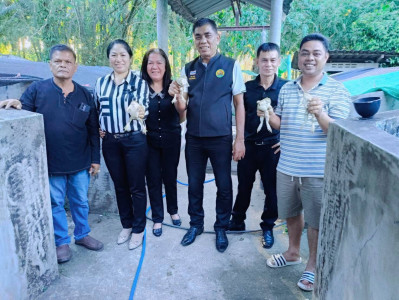 ดตามการดำเนินโครงการเลี้ยงกบเพื่อส่งเสริมอาชีพสมาชิกของสหกรณ์กองทุนสวนยางวังคีรี จำกัด ... พารามิเตอร์รูปภาพ 1