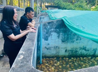 ดตามการดำเนินโครงการเลี้ยงกบเพื่อส่งเสริมอาชีพสมาชิกของสหกรณ์กองทุนสวนยางวังคีรี จำกัด ... พารามิเตอร์รูปภาพ 2