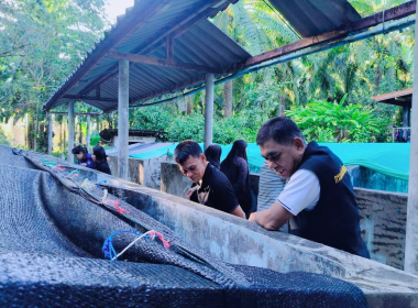 ดตามการดำเนินโครงการเลี้ยงกบเพื่อส่งเสริมอาชีพสมาชิกของสหกรณ์กองทุนสวนยางวังคีรี จำกัด ... พารามิเตอร์รูปภาพ 3