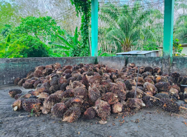 ดตามการดำเนินโครงการเลี้ยงกบเพื่อส่งเสริมอาชีพสมาชิกของสหกรณ์กองทุนสวนยางวังคีรี จำกัด ... พารามิเตอร์รูปภาพ 5