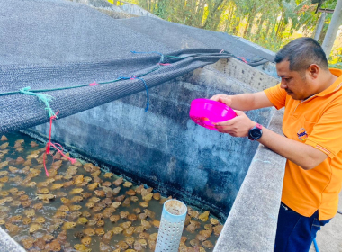 ดตามการดำเนินโครงการเลี้ยงกบเพื่อส่งเสริมอาชีพสมาชิกของสหกรณ์กองทุนสวนยางวังคีรี จำกัด ... พารามิเตอร์รูปภาพ 9