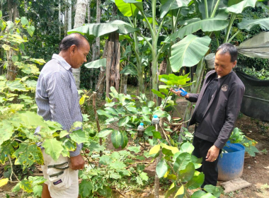 ลงพื้นที่ตรวจเยี่ยม ... พารามิเตอร์รูปภาพ 3