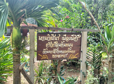 ลงพื้นที่ตรวจเยี่ยม ... พารามิเตอร์รูปภาพ 4