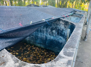 ลงพื้นที่ตรวจเยี่ยม ... พารามิเตอร์รูปภาพ 5