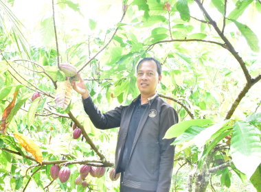 ลงพื้นที่ตรวจเยี่ยม ... พารามิเตอร์รูปภาพ 8