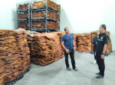 ลงพื้นที่ตรวจเยี่ยม และติดตามการดำเนินงาน การแปรรูปยางพารา ... พารามิเตอร์รูปภาพ 5