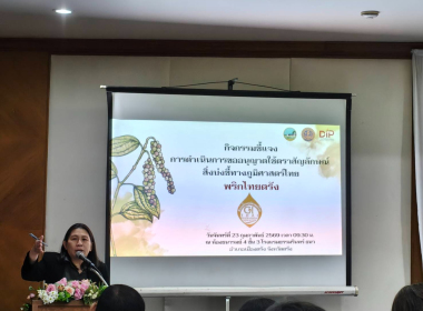 กิจกรรมชี้แจง ... พารามิเตอร์รูปภาพ 4