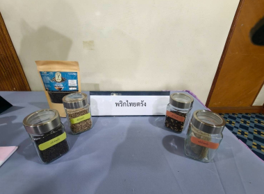 กิจกรรมชี้แจง ... พารามิเตอร์รูปภาพ 10