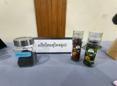 กิจกรรมชี้แจง ... พารามิเตอร์รูปภาพ 11