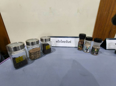 กิจกรรมชี้แจง ... พารามิเตอร์รูปภาพ 12