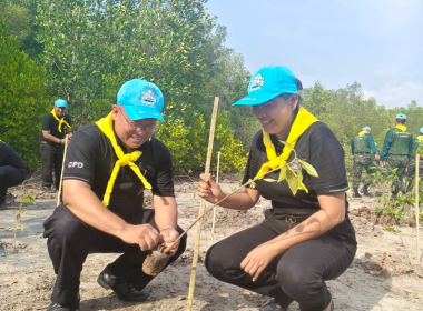 กิจกรรมจิตอาสาในโอกาสวันสำคัญ ของชาติไทย ... พารามิเตอร์รูปภาพ 8