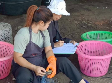 ลงพื้นที่ป่าชายเลนบ้านควนตุ้งกู และชุมชนท่าเรือควนตุ้งกู พารามิเตอร์รูปภาพ 1