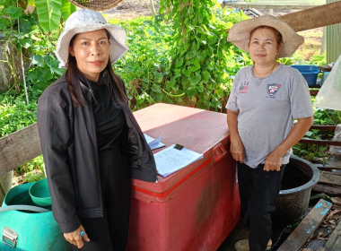 ลงพื้นที่ป่าชายเลน บ้านสะพานท่ามะขาม หมู่ 2 ตำบลคลองชีล้อม ... พารามิเตอร์รูปภาพ 6