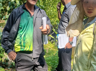 ลงพื้นที่ตรวจประเมินแปลงปลูกพริกไทยพันธุ์ปะเหลียน ของเกษตรกร พารามิเตอร์รูปภาพ 5