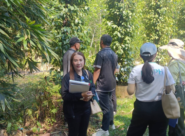 ลงพื้นที่ตรวจประเมินแปลงปลูกพริกไทยพันธุ์ปะเหลียน ของเกษตรกร พารามิเตอร์รูปภาพ 6