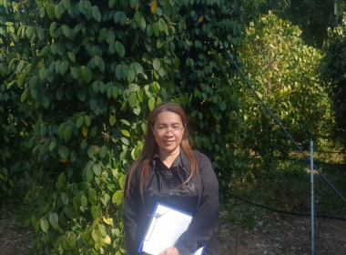 ลงพื้นที่ตรวจประเมินแปลงปลูกพริกไทยพันธุ์ปะเหลียน ของเกษตรกร พารามิเตอร์รูปภาพ 7