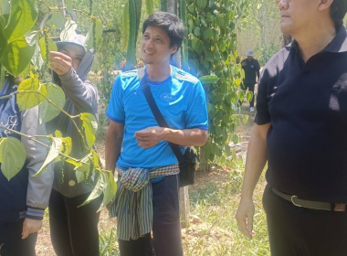 ลงพื้นที่ตรวจประเมินแปลงปลูกพริกไทยพันธุ์ปะเหลียน ของเกษตรกร พารามิเตอร์รูปภาพ 8