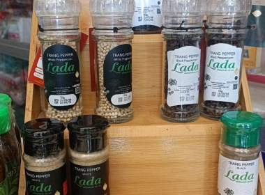 ลงพื้นที่ตรวจประเมินแปลงปลูกพริกไทยพันธุ์ปะเหลียน ของเกษตรกร พารามิเตอร์รูปภาพ 9