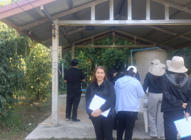 ลงพื้นที่ตรวจประเมินแปลงปลูกพริกไทยพันธุ์ปะเหลียน ของเกษตรกร พารามิเตอร์รูปภาพ 12