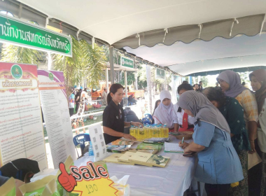 โครงการหน่วยบำบัดทุกข์ บำรุงสุข สร้างรอยยิ้มให้ประชาชน ... พารามิเตอร์รูปภาพ 3