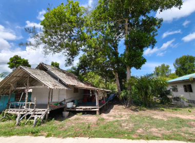 ลงพื้นที่สำรวจข้อมูล พื้นที่ป่าชายเลน พารามิเตอร์รูปภาพ 9