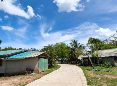 ลงพื้นที่สำรวจข้อมูล พื้นที่ป่าชายเลน พารามิเตอร์รูปภาพ 10