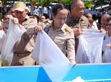 พิธีปล่อยพันธุ์สัตว์น้ำ ... พารามิเตอร์รูปภาพ 2