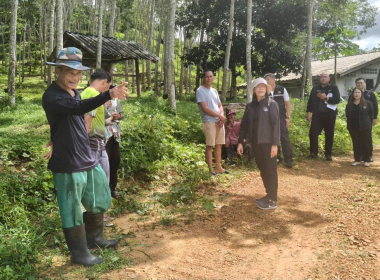 ลงพื้นทีป่าสงวนแห่งชาติ ป่าควนบางหมาก อ.กันตัง จ.ตรัง พารามิเตอร์รูปภาพ 3