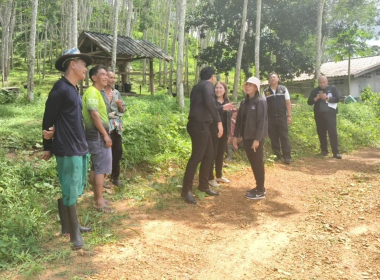 ลงพื้นทีป่าสงวนแห่งชาติ ป่าควนบางหมาก อ.กันตัง จ.ตรัง พารามิเตอร์รูปภาพ 15