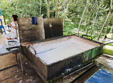 ตรวจเยี่ยมแนะนำส่งเสริมสหกรณ์กองทุนสวนยางบ้านน้ำผุด จำกัด พารามิเตอร์รูปภาพ 3