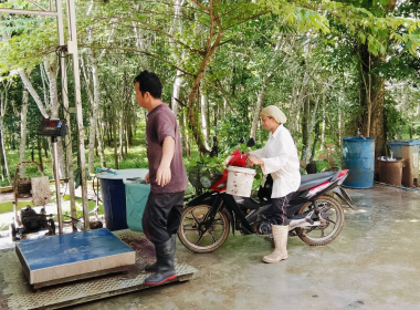 ตรวจเยี่ยมแนะนำส่งเสริมสหกรณ์กองทุนสวนยางบ้านน้ำผุด จำกัด พารามิเตอร์รูปภาพ 5