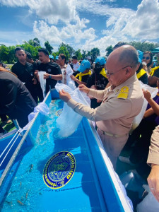 พิธีปล่อยพันธุ์สัตว์น้ำ เนื่องในโอกาส ... พารามิเตอร์รูปภาพ 1